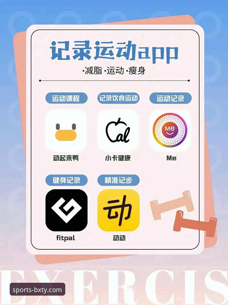博喜体育官网官方正版App下载与使用实用指南
